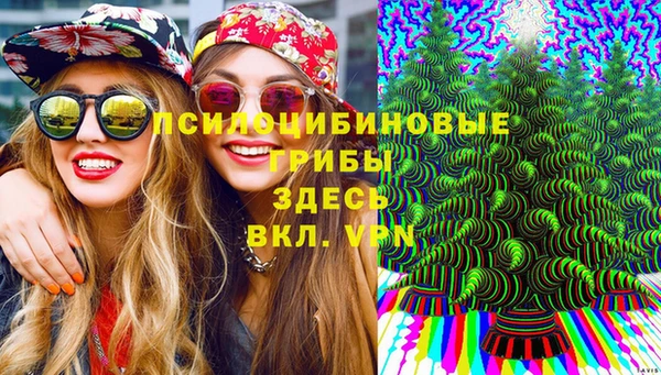 таблы Белокуриха