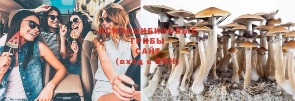 таблы Белокуриха